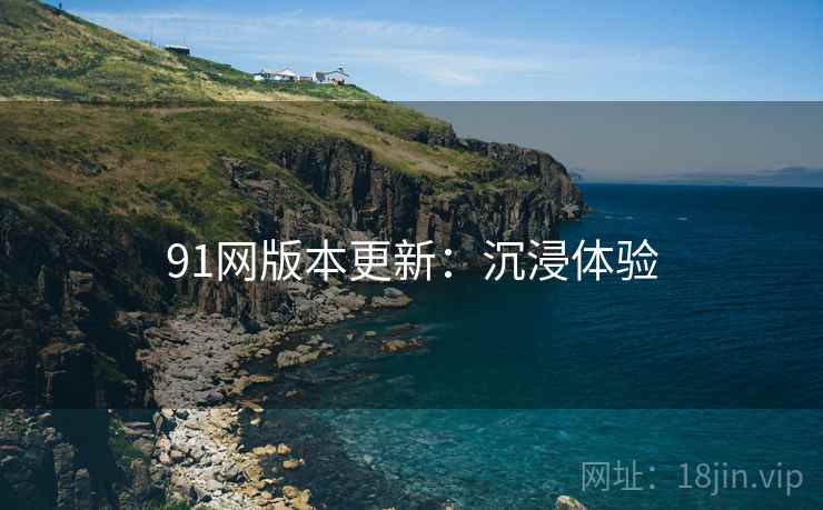 91网版本更新：沉浸体验