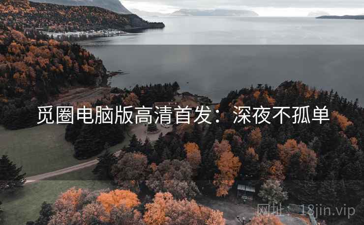 觅圈电脑版高清首发：深夜不孤单