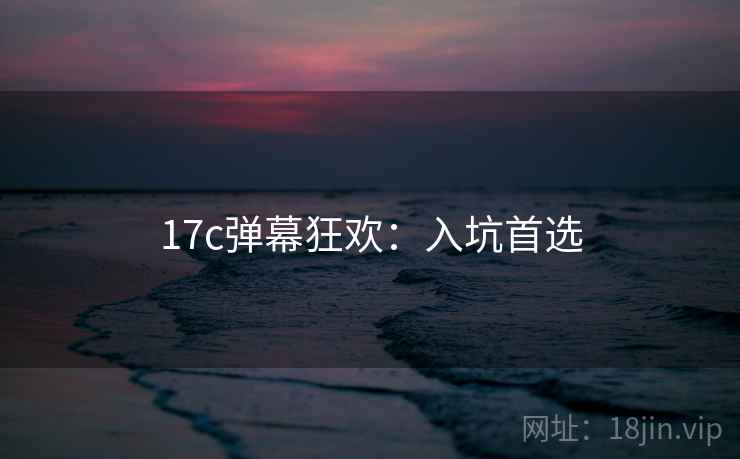 17c弹幕狂欢：入坑首选