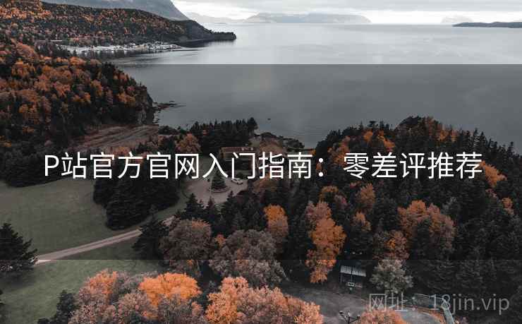 P站官方官网入门指南：零差评推荐
