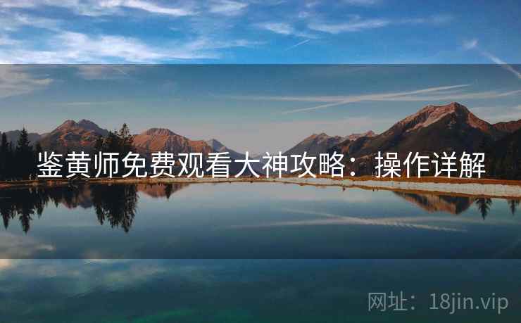 鉴黄师免费观看大神攻略：操作详解