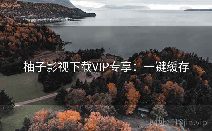 柚子影视下载VIP专享：一键缓存