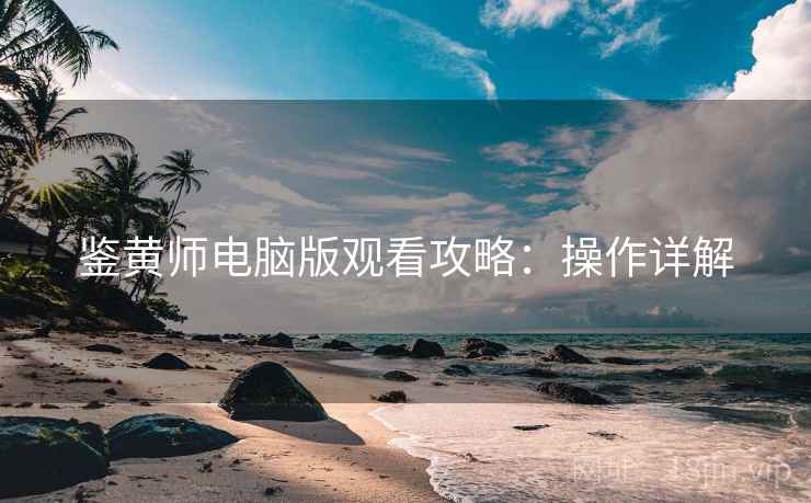 鉴黄师电脑版观看攻略：操作详解